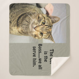 Cat  sherpa blanket