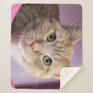 Cat Sherpa Blanket