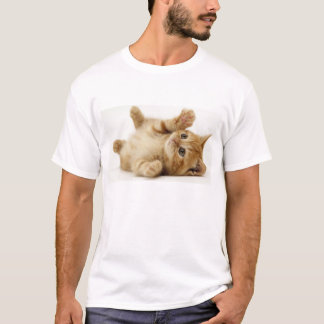 Cat shirt
