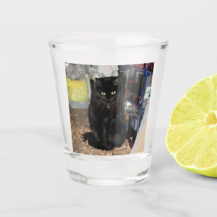 Cat Shot Glass