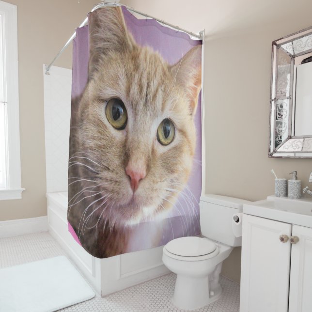 Cat Shower Curtain (In Situ)