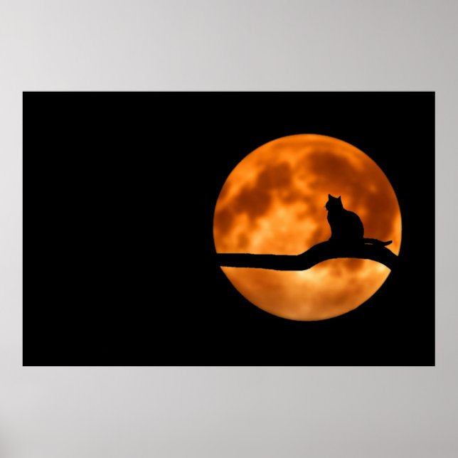 Cat Silhouette Moonlight Poster (Front)