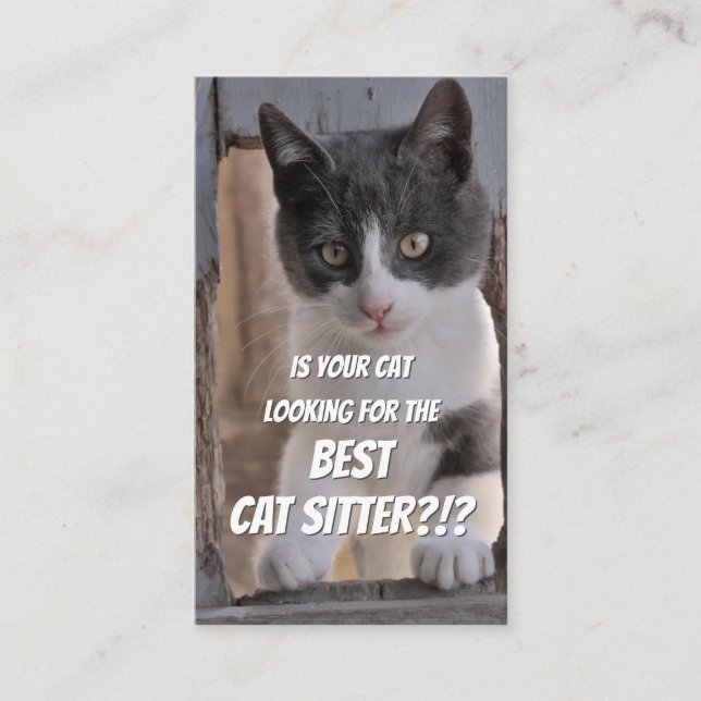 Cat sitters funny cat care pet care service busine business card (Front)