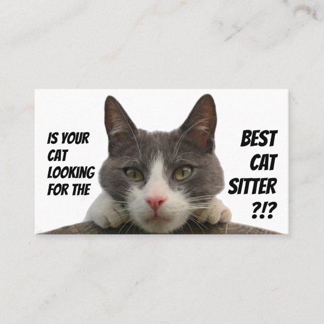 Cat sitters funny cat care pet care service busine business card (Front)