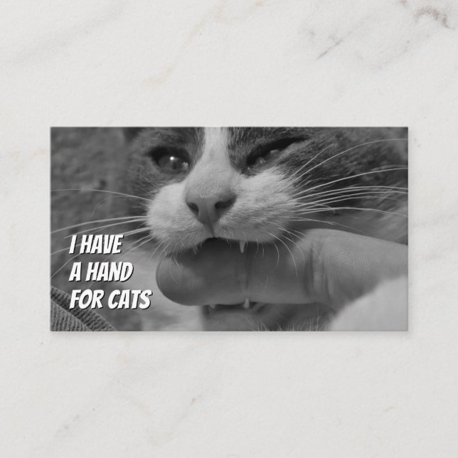 Cat sitters funny cat care pet care service business card (Front)