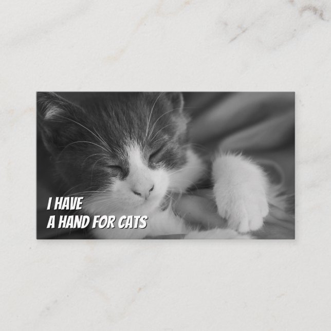 Cat sitters funny cat care pet care service business card (Front)