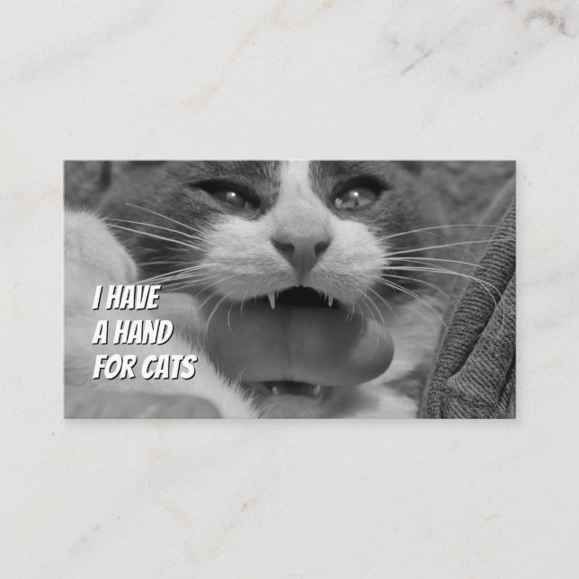Cat sitters funny cat care pet care service business card (Front)