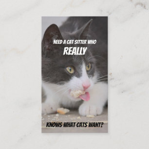 Cat sitters funny cat care pet care service business card