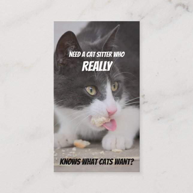 Cat sitters funny cat care pet care service business card (Front)