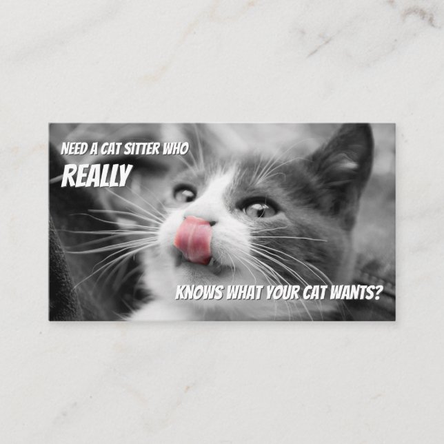 Cat sitters funny cat care pet care service Insta Business Card (Front)