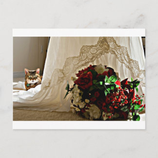 Cat Sitting Behind Wedding Dress Postcards