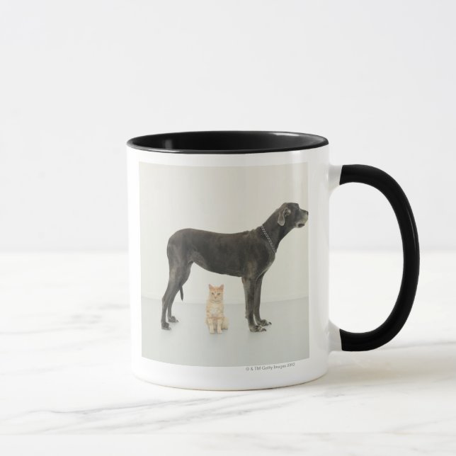 Cat sitting beneath Great Dane Mug (Right)