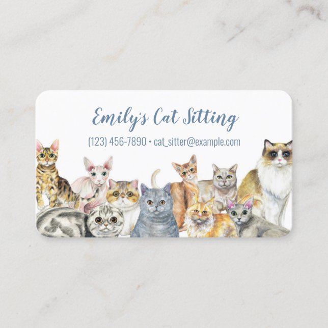Cat Sitting Business Card (Front)