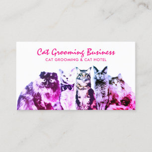Cat Sitting For Senior Cats Business Card