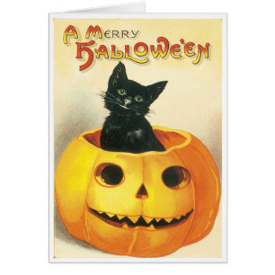 Cat Sitting In A Pumpkin Vintage Card