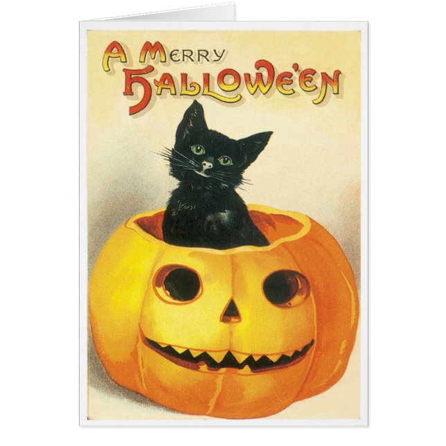 Cat Sitting In A Pumpkin Vintage Card (Front)