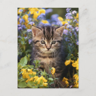 Cat Sitting In Flower Garden Postcard