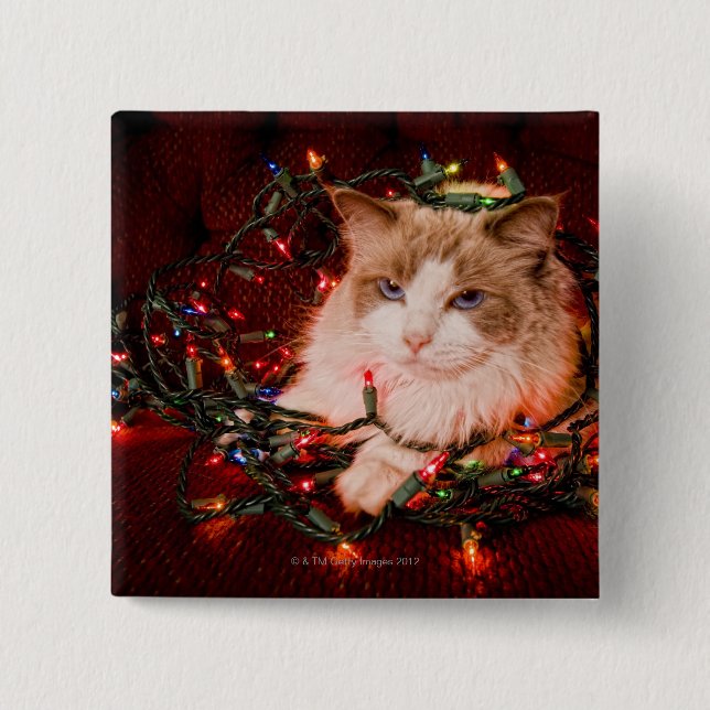 Cat sitting on a ball of Christmas lights. 15 Cm Square Badge (Front)