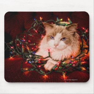 Cat sitting on a ball of Christmas lights. Mouse Mat