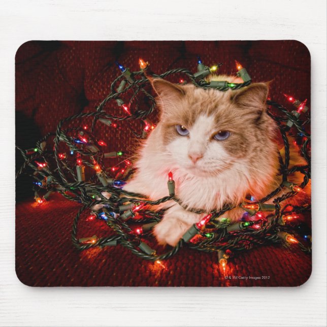 Cat sitting on a ball of Christmas lights. Mouse Mat (Front)