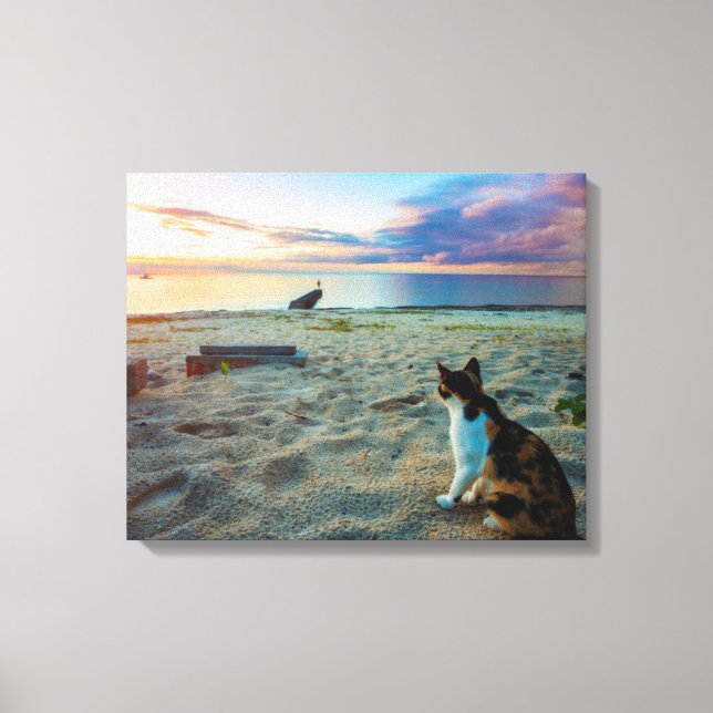 Cat Sitting On A Beach Canvas Print (Front)
