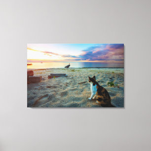 Cat Sitting On A Beach Canvas Print