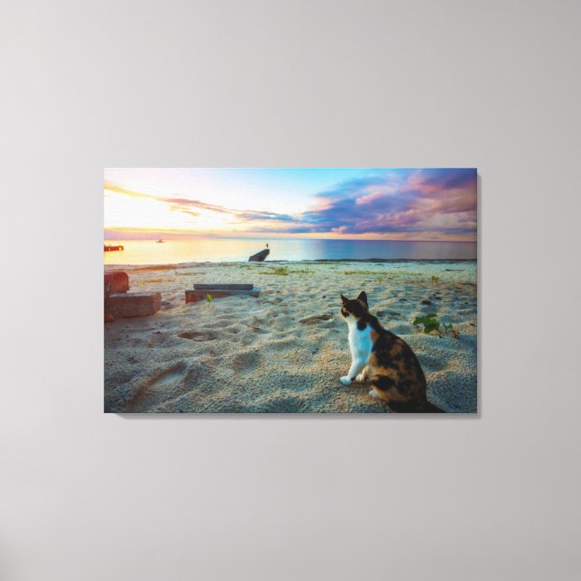 Cat Sitting On A Beach Canvas Print (Front)