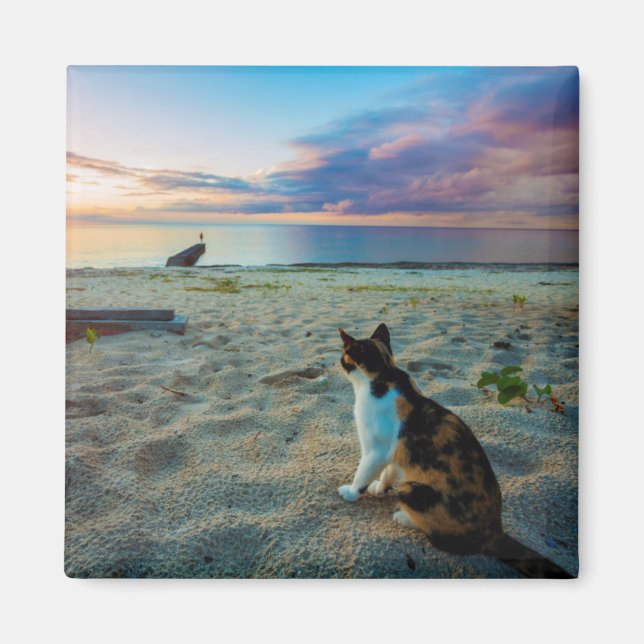 Cat Sitting On A Beach Magnet (Front)