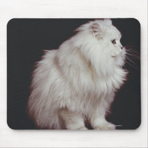 Cat sitting on black background, close-up mouse mat