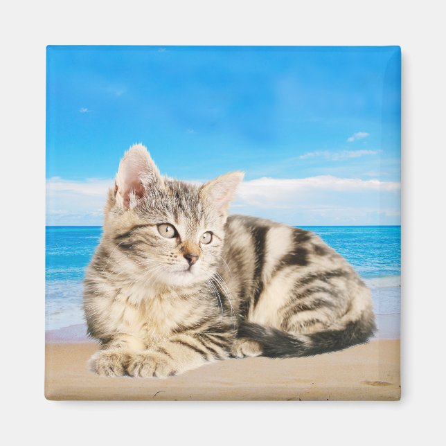 Cat Sitting on Tropical Island Beach Magnet (Front)