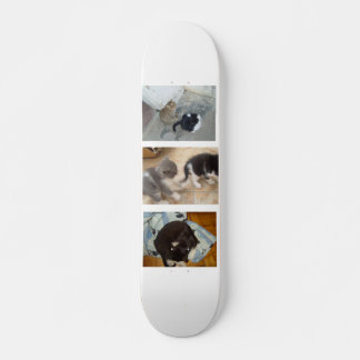 Cat Skateboard