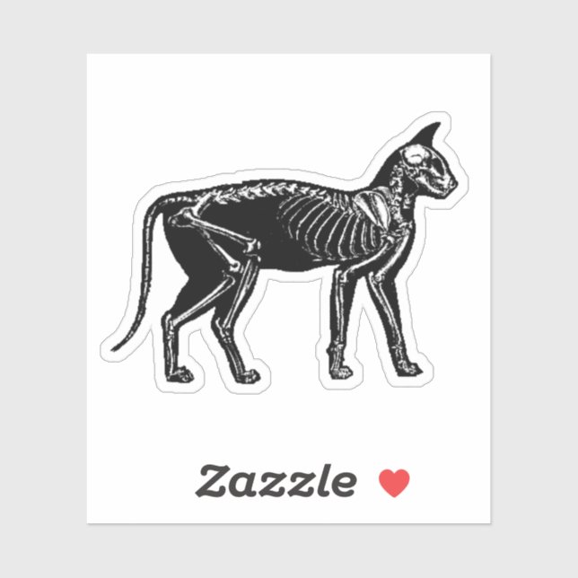 Cat Skeleton (Sheet)