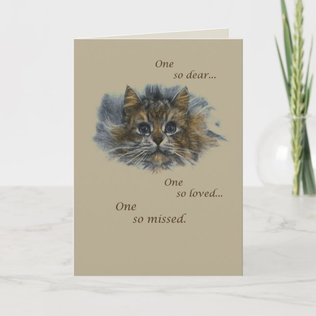 Cat Sketch Sympathy Card (Front)
