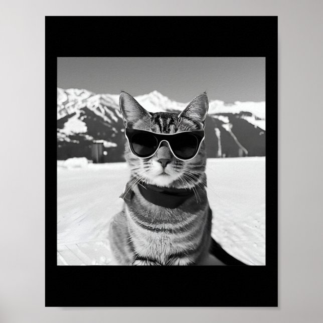 Cat Ski Slopes And Snowboarding  Poster (Front)