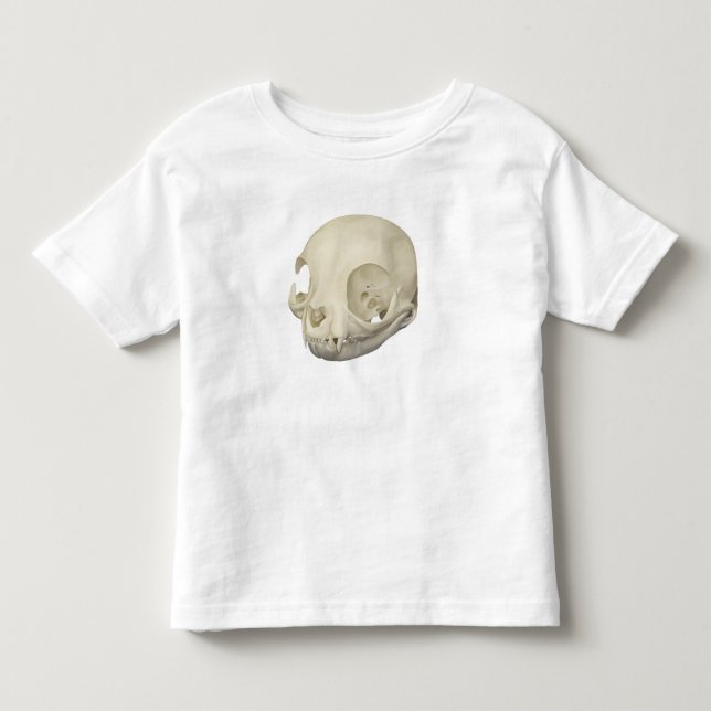 Cat Skull Toddler T-Shirt (Front)