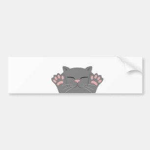 Cat Sleeping Bumper Sticker