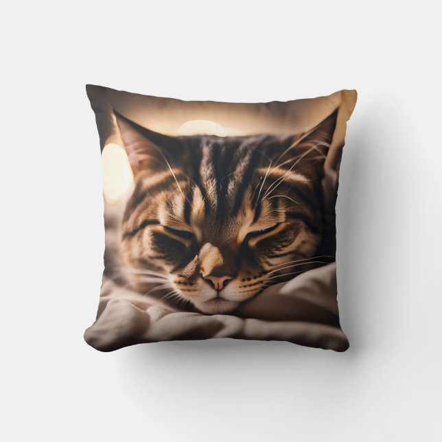 Cat Sleeping Cushion (Front)