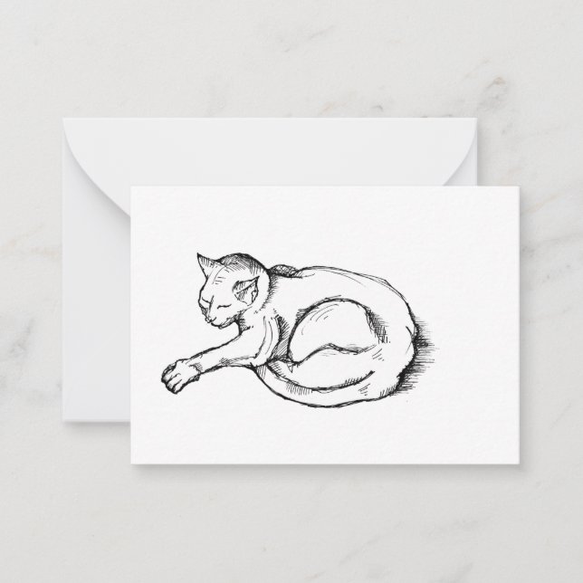 Cat Sleeping Illustration Pen Drawing Art Card (Front)