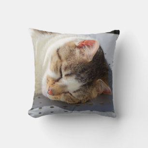 Cat sleeping in a garden cushion