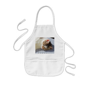 Cat sleeping in a garden kids apron