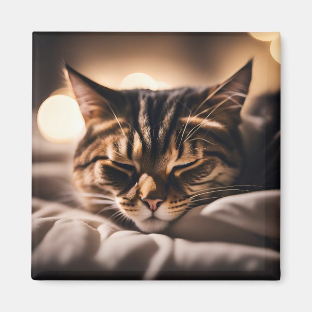 Cat Sleeping Magnet (Front)