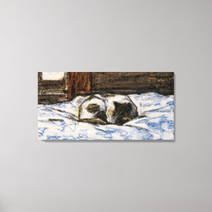 Cat Sleeping on a Bed Canvas Print