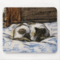 Cat Sleeping on a Bed