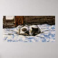 Cat Sleeping on a Bed