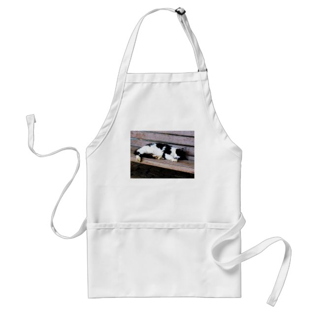 Cat Sleeping on Bench Standard Apron (Front)