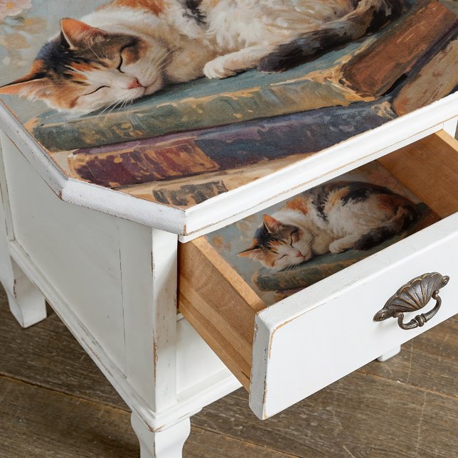 Cat Sleeping On Book Decoupage Tissue Paper (This is a mockup, your design may appear larger/smaller depending on size purchased.)