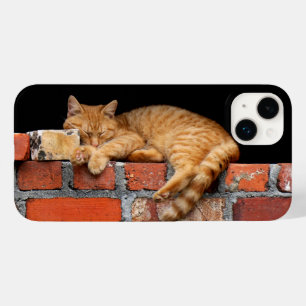 Cat Sleeping on Brick Wall Case-Mate iPhone 14 Plus Case