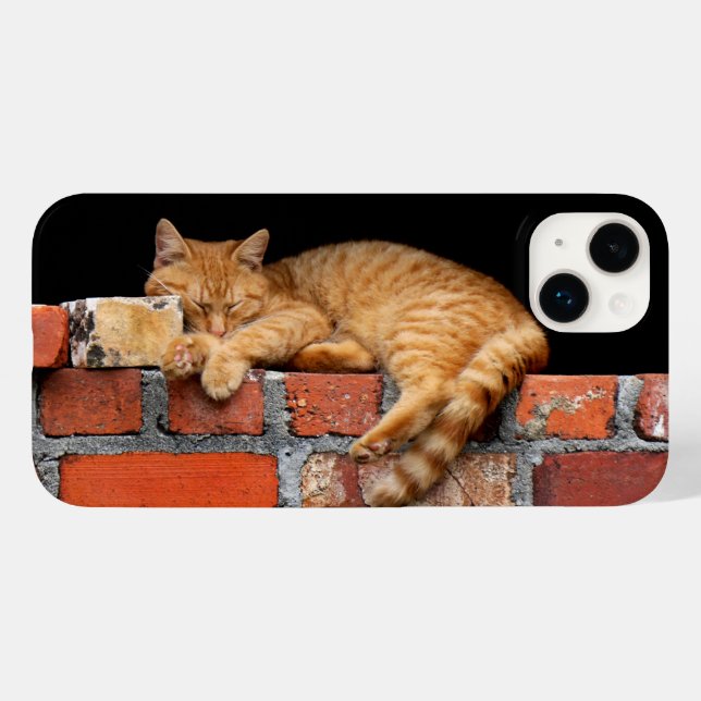 Cat Sleeping on Brick Wall Case-Mate iPhone Case (Back (Horizontal))