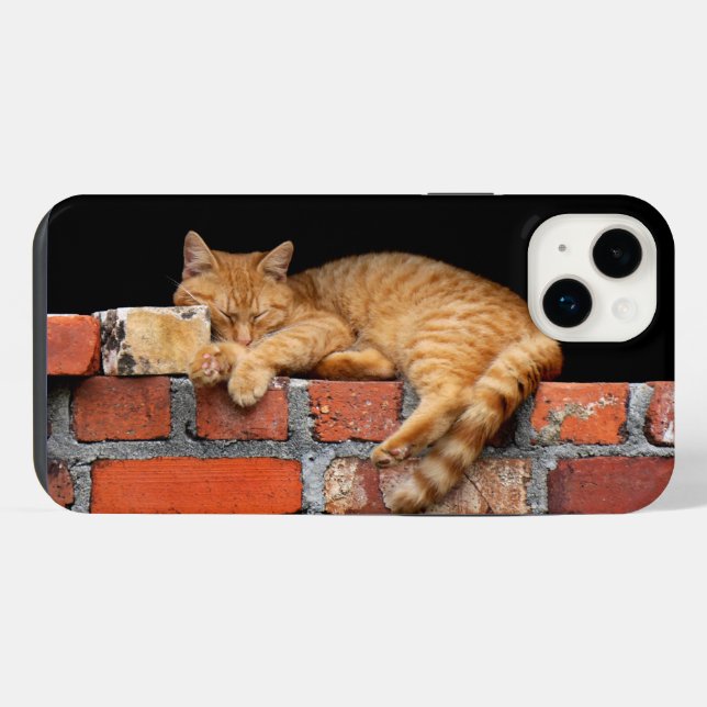 Cat Sleeping on Brick Wall iPhone Case (Back Horizontal)