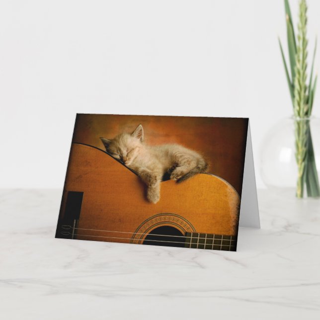 Cat sleeping on guitar card (Front)